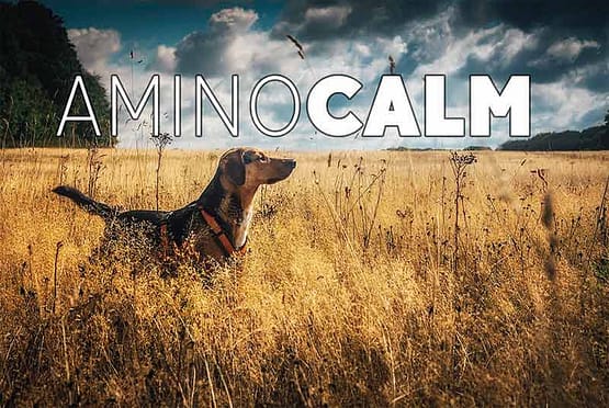 Aminocalm voorkant